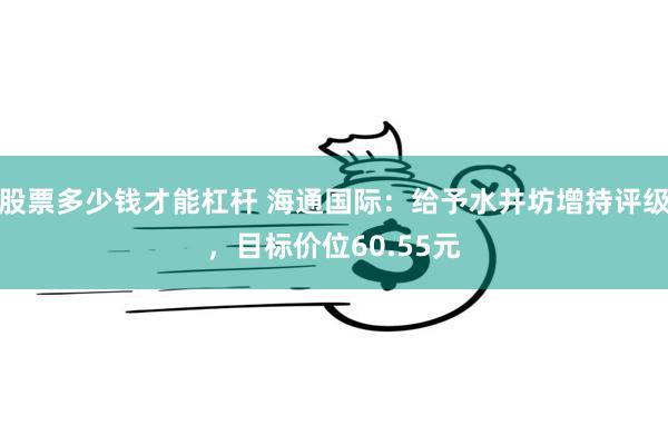 股票多少钱才能杠杆 海通国际：给予水井坊增持评级，目标价位60.55元