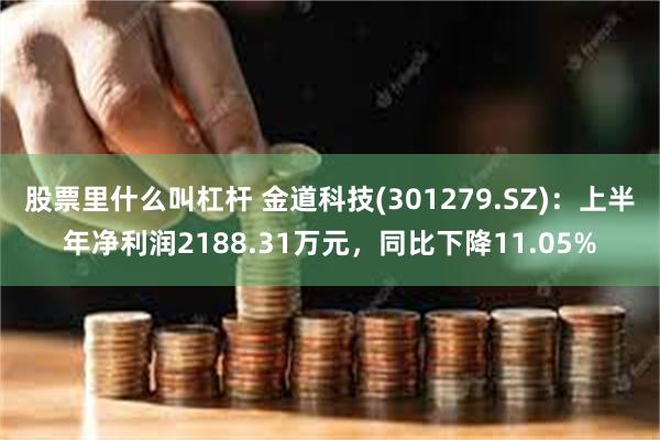 股票里什么叫杠杆 金道科技(301279.SZ)：上半年净利润2188.31万元，同比下降11.05%