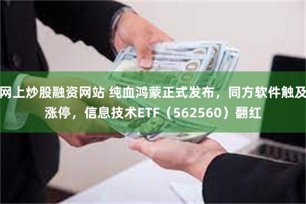 网上炒股融资网站 纯血鸿蒙正式发布，同方软件触及涨停，信息技术ETF（562560）翻红