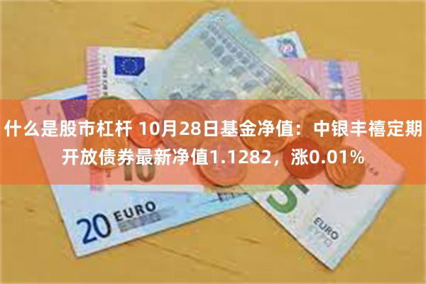 什么是股市杠杆 10月28日基金净值：中银丰禧定期开放债券最新净值1.1282，涨0.01%