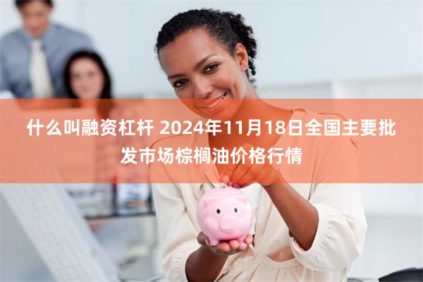 什么叫融资杠杆 2024年11月18日全国主要批发市场棕榈油价格行情