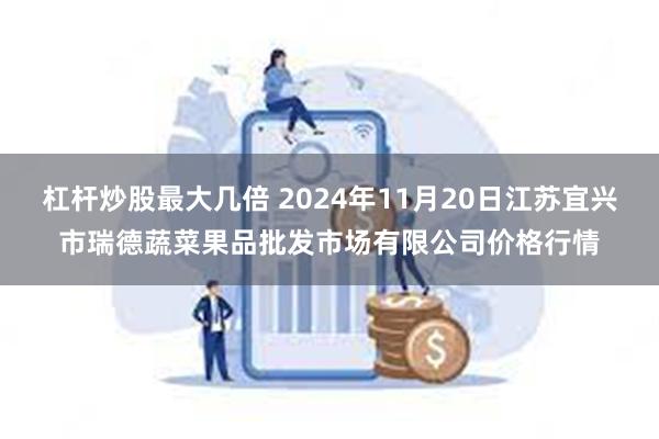 杠杆炒股最大几倍 2024年11月20日江苏宜兴市瑞德蔬菜果品批发市场有限公司价格行情