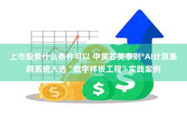 上市股票什么条件可以 中昊芯英泰则®AI计算集群系统入选“数字样板工程”实践案例