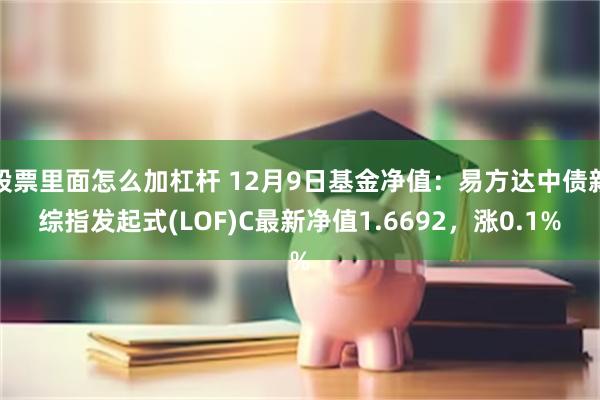 股票里面怎么加杠杆 12月9日基金净值：易方达中债新综指发起式(LOF)C最新净值1.6692，涨0.1%