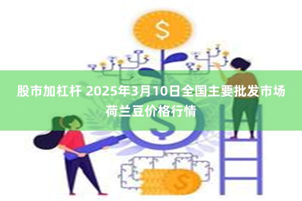 股市加杠杆 2025年3月10日全国主要批发市场荷兰豆价格行情